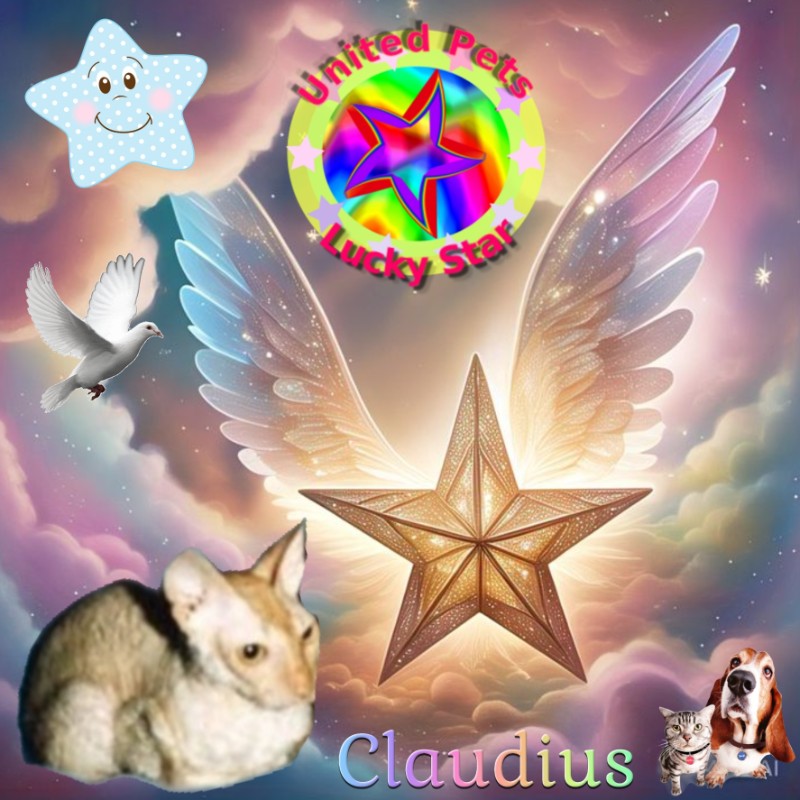 My Angels of the Blanche family