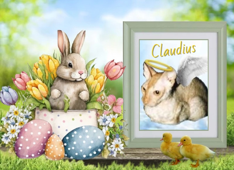 Blanche uploaded   10  day/s  ago