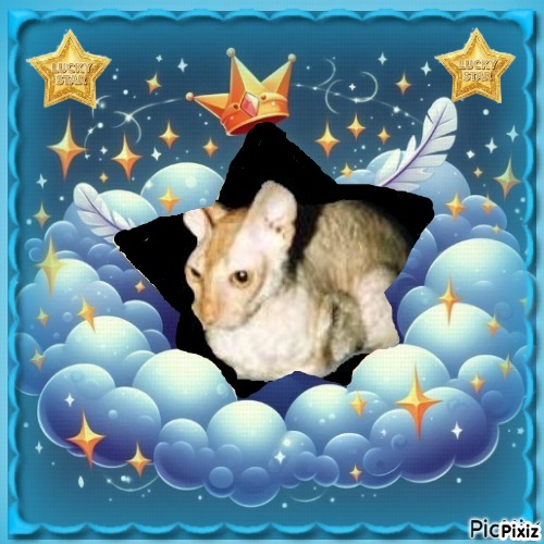 Blanche uploaded   24  min/s  ago