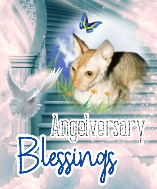 Blanche uploaded   75  day/s  ago