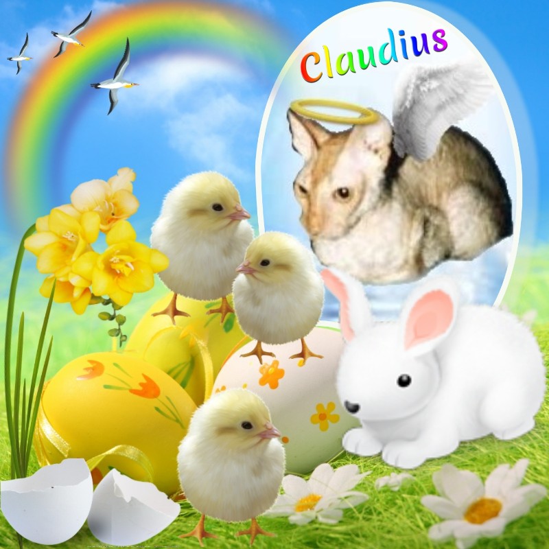 Blanche uploaded   20  day/s  ago