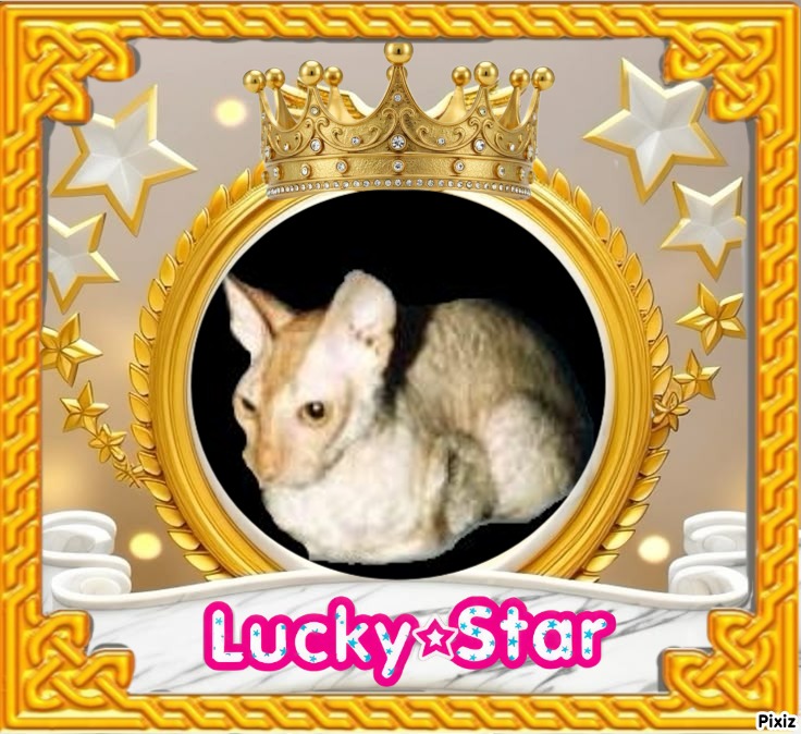 Blanche uploaded   24  min/s  ago