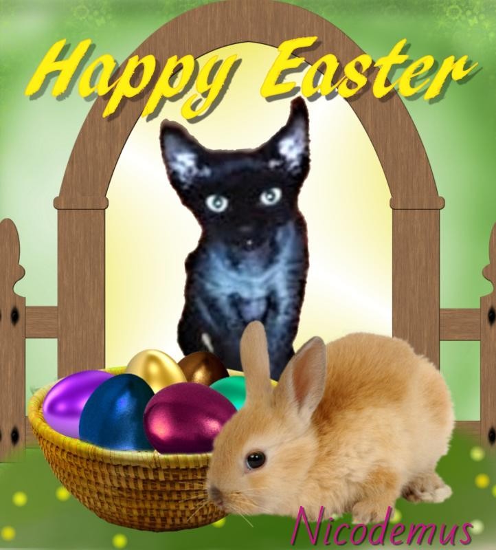 Blanche uploaded   10  day/s  ago