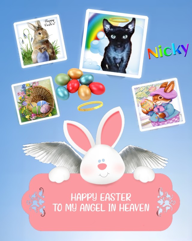 Blanche uploaded   7  day/s  ago