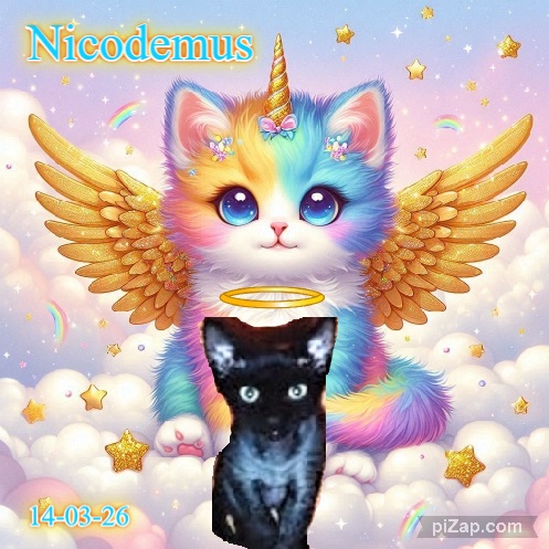 Blanche uploaded   32  day/s  ago