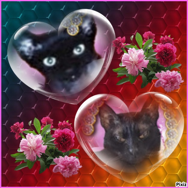 Blanche uploaded   86  day/s  ago