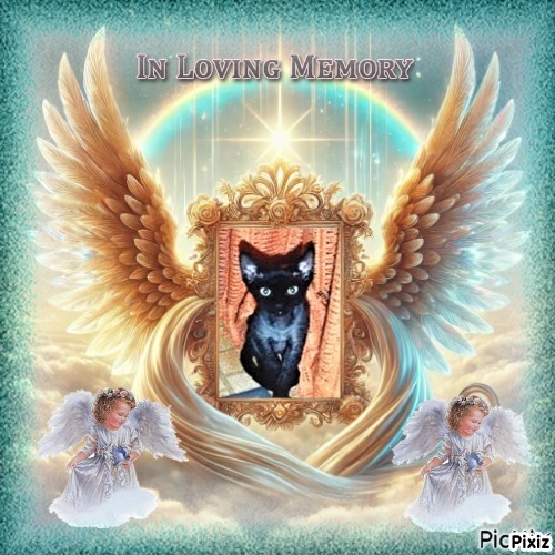 Blanche uploaded   33  day/s  ago