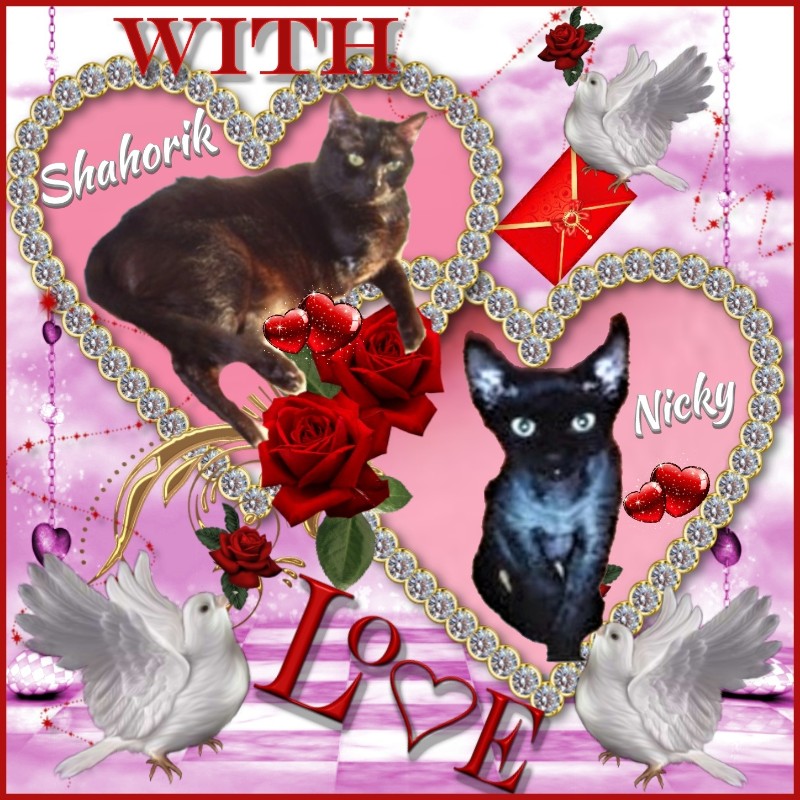 Blanche uploaded   89  day/s  ago