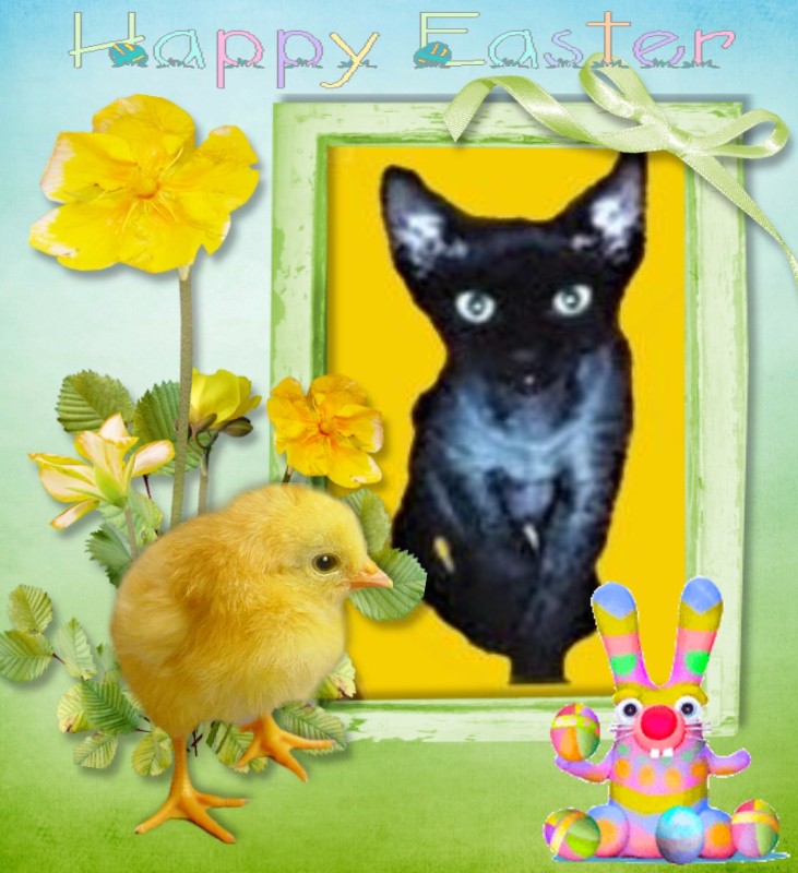 Blanche uploaded   23  day/s  ago