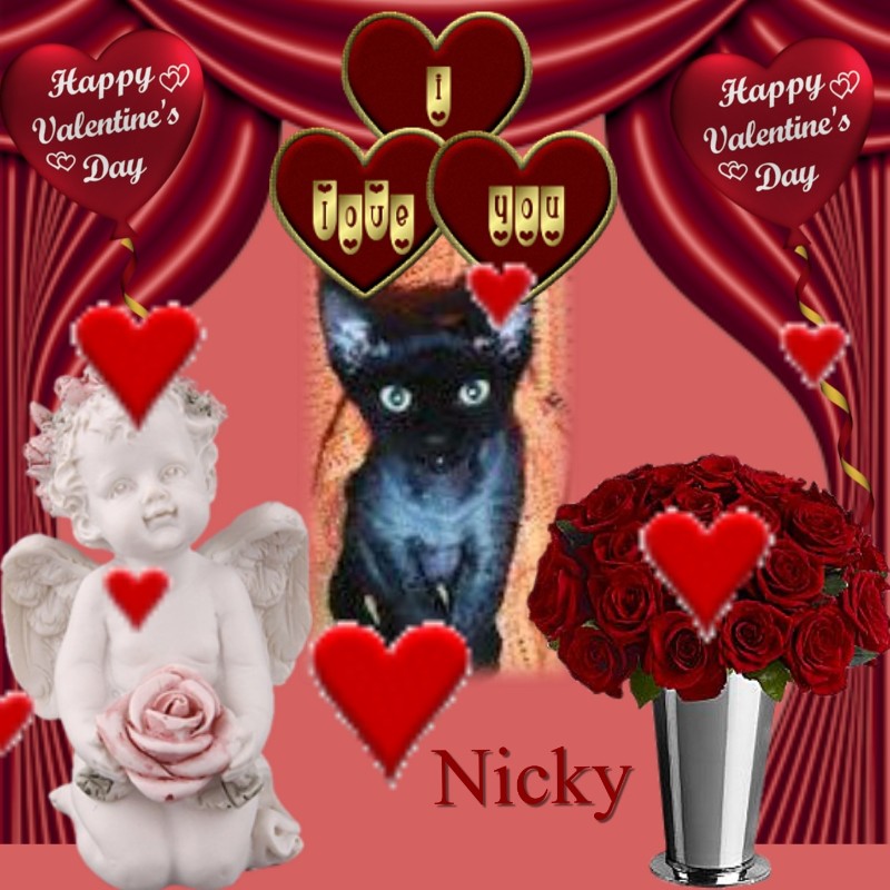 Blanche uploaded   89  day/s  ago