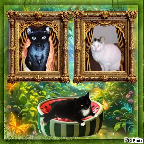 Blanche uploaded   55  day/s  ago