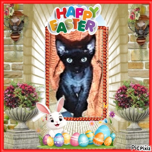 Blanche uploaded   7  day/s  ago