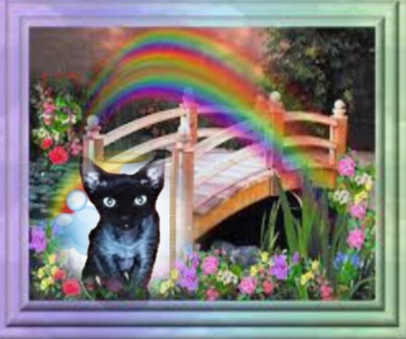 Blanche uploaded   34  day/s  ago