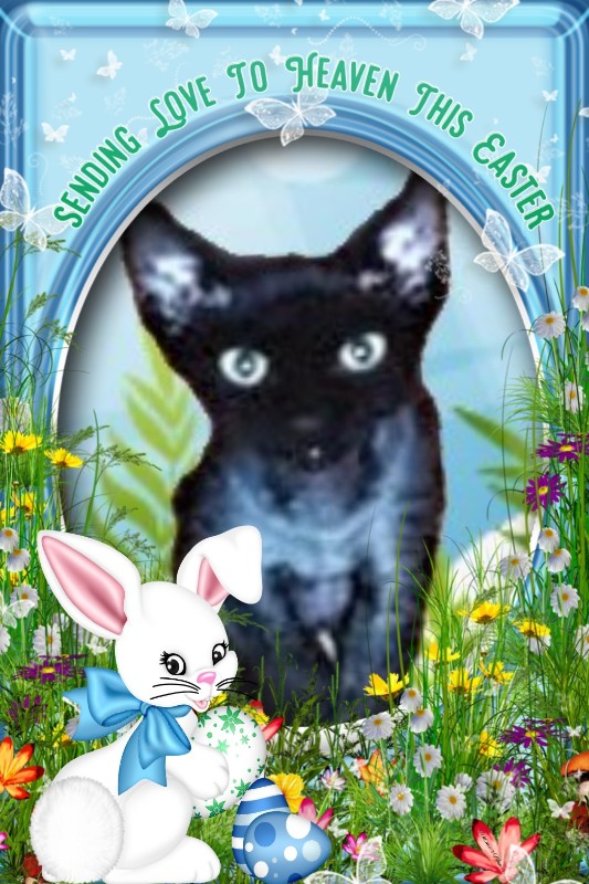 Blanche uploaded   13  day/s  ago