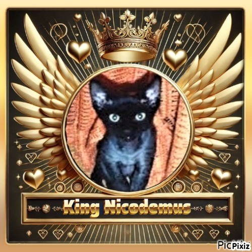 Blanche uploaded   55  day/s  ago