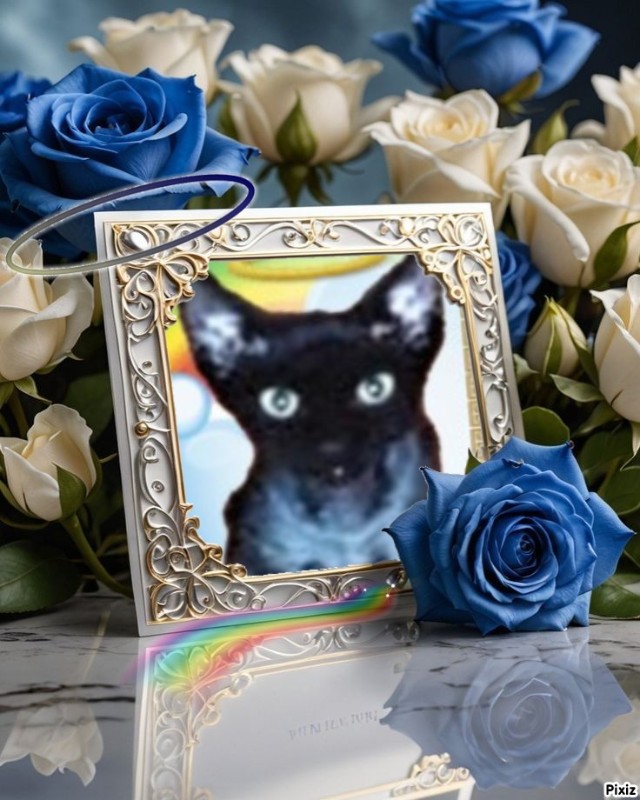 Blanche uploaded   34  day/s  ago