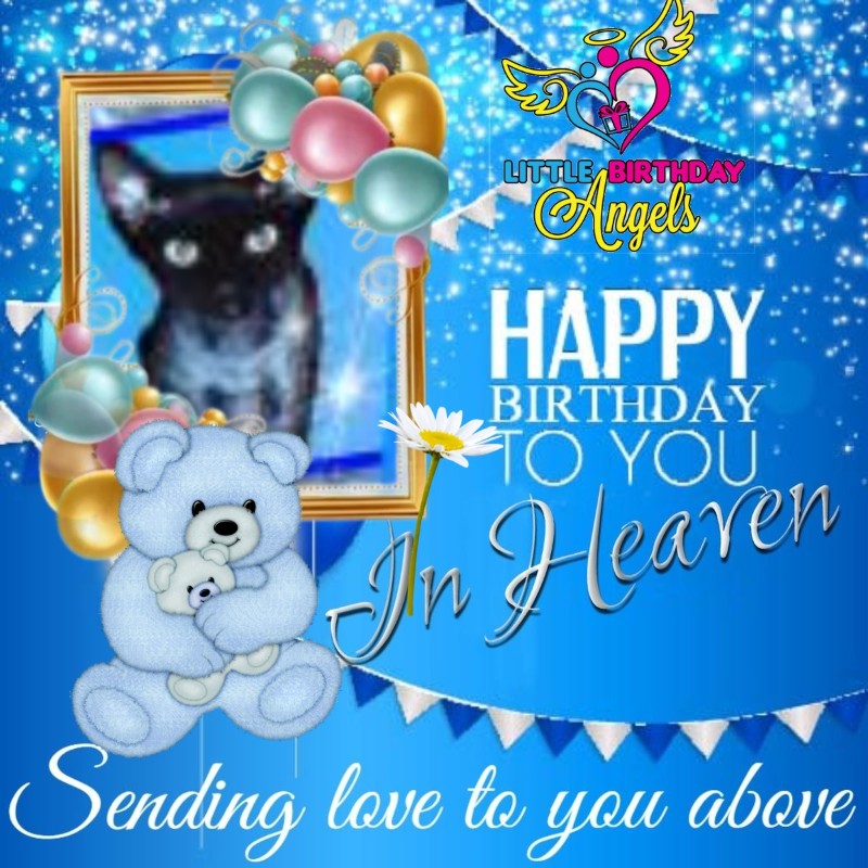 Blanche uploaded   34  day/s  ago