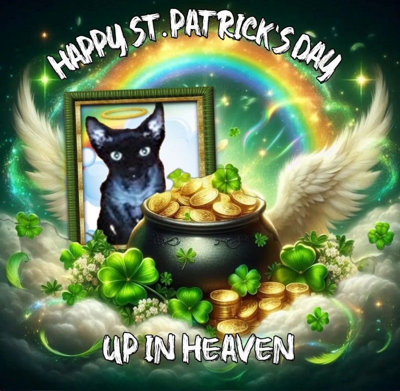 Blanche uploaded   50  day/s  ago