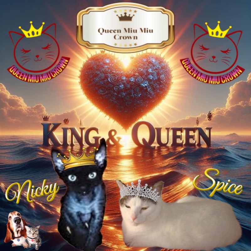 Blanche uploaded   54  day/s  ago