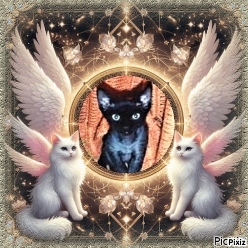 Blanche uploaded   33  day/s  ago