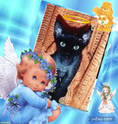 Blanche uploaded   32  day/s  ago