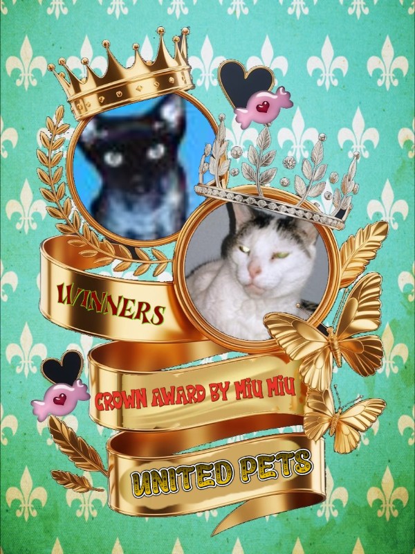 Blanche uploaded   54  day/s  ago