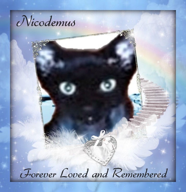 Blanche uploaded   32  day/s  ago