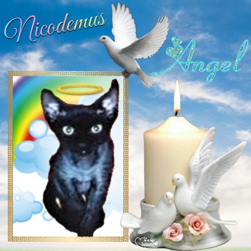 Blanche uploaded   34  day/s  ago