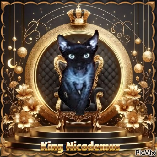 Blanche uploaded   55  day/s  ago