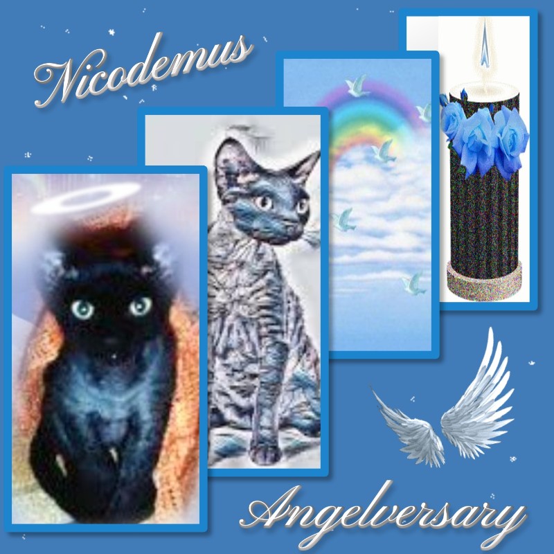 Blanche uploaded   34  day/s  ago