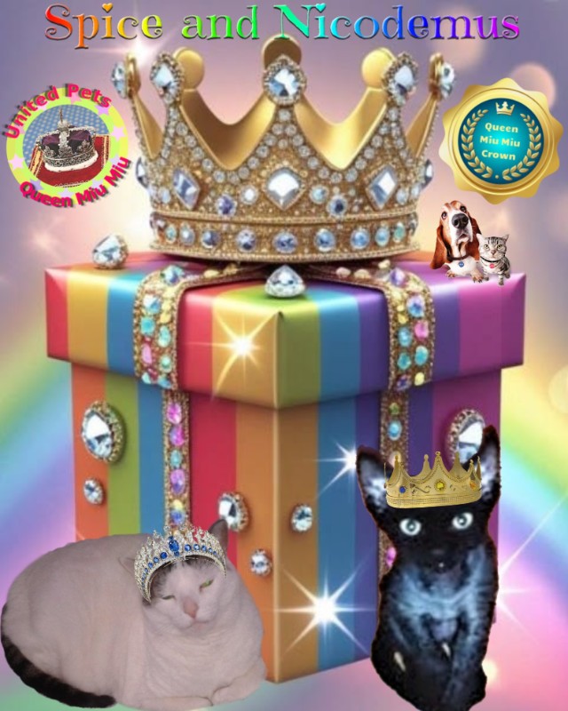 Blanche uploaded   51  day/s  ago