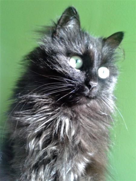 Carol uploaded   7 year/s ago