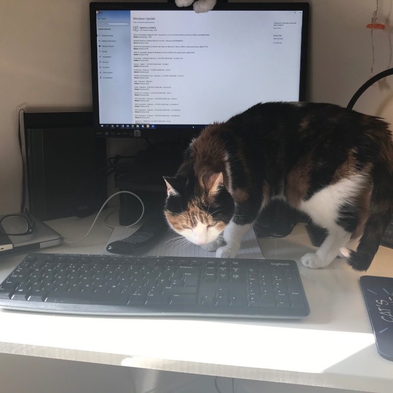 Marmite of the Caroline family