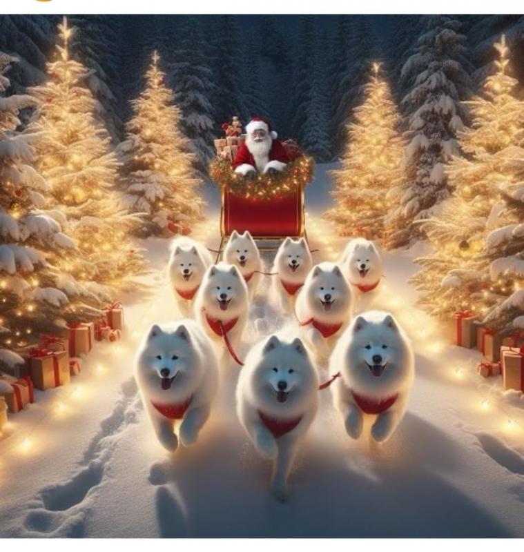 Carter of the Carterwolfboy family