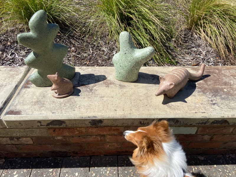 Carterwolfboy uploaded   270  day/s  ago