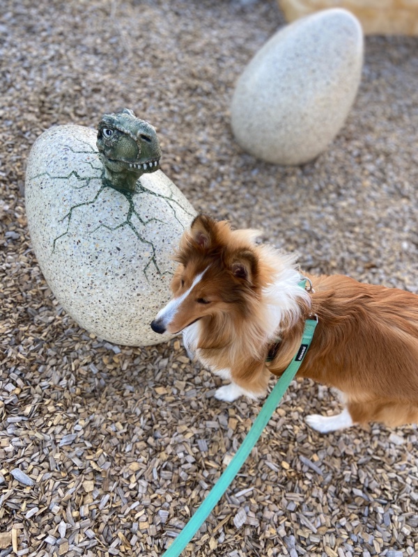 Carterwolfboy uploaded   270  day/s  ago