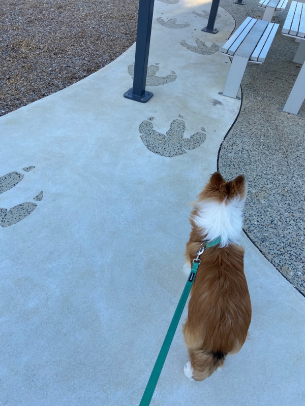 Carterwolfboy uploaded   270  day/s  ago