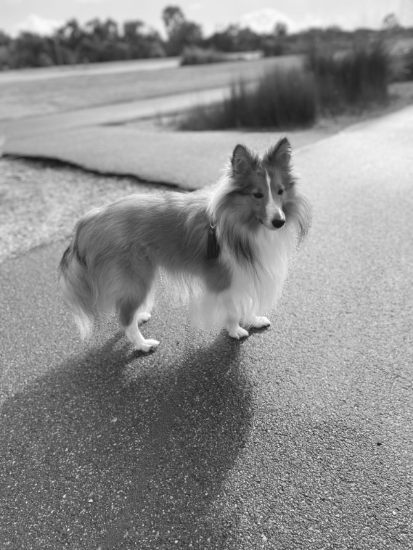 Carterwolfboy uploaded   270  day/s  ago