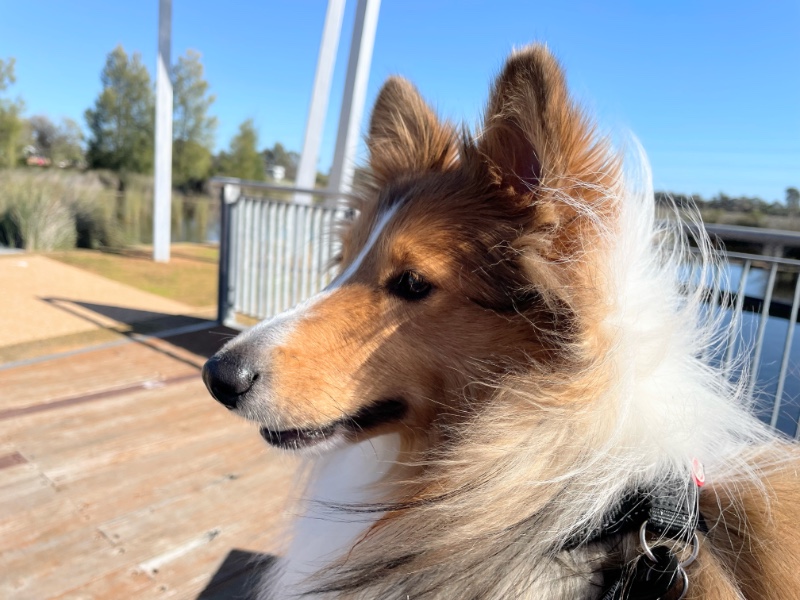 Carterwolfboy uploaded   194  day/s  ago