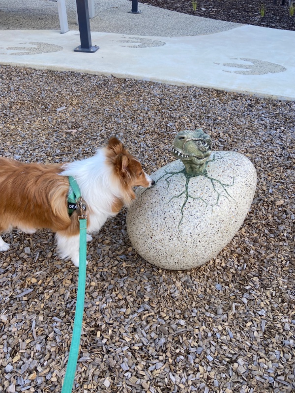 Carterwolfboy uploaded   270  day/s  ago