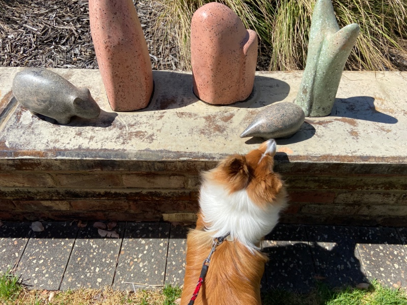 Carterwolfboy uploaded   270  day/s  ago