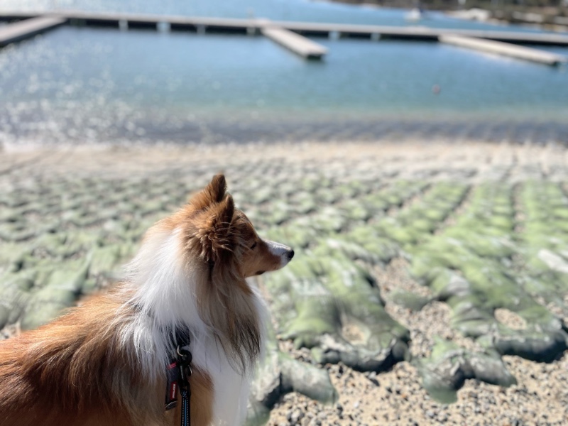 Carterwolfboy uploaded   270  day/s  ago