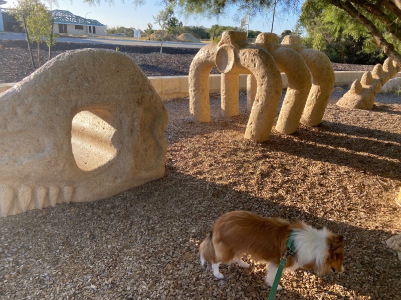 Carterwolfboy uploaded   270  day/s  ago