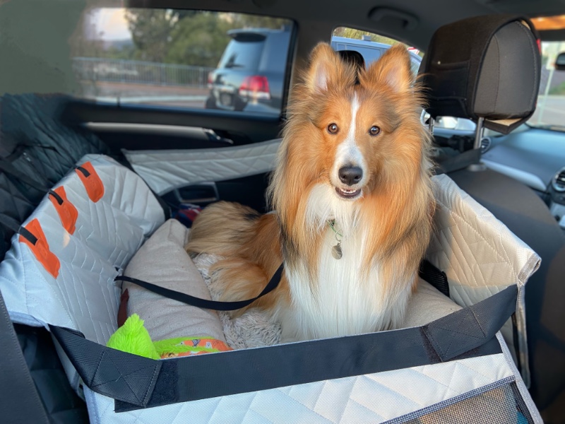 Carterwolfboy uploaded   270  day/s  ago