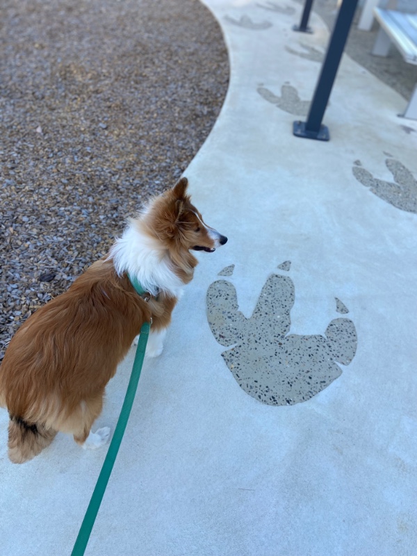 Carterwolfboy uploaded   270  day/s  ago