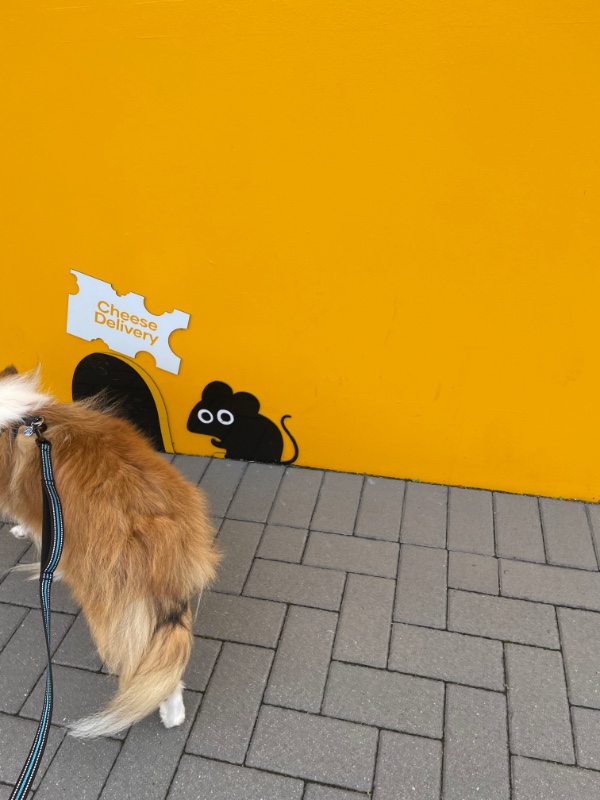 Carterwolfboy uploaded   270  day/s  ago