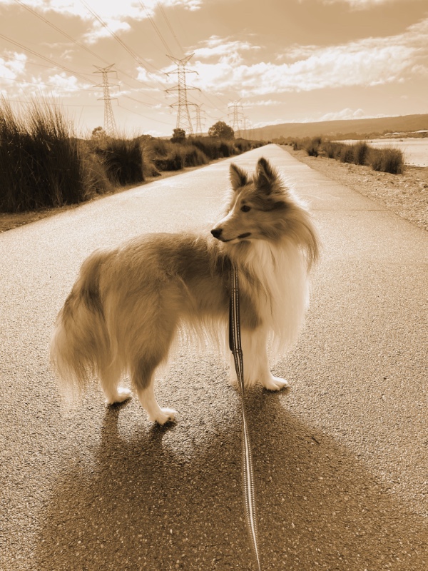 Carterwolfboy uploaded   270  day/s  ago