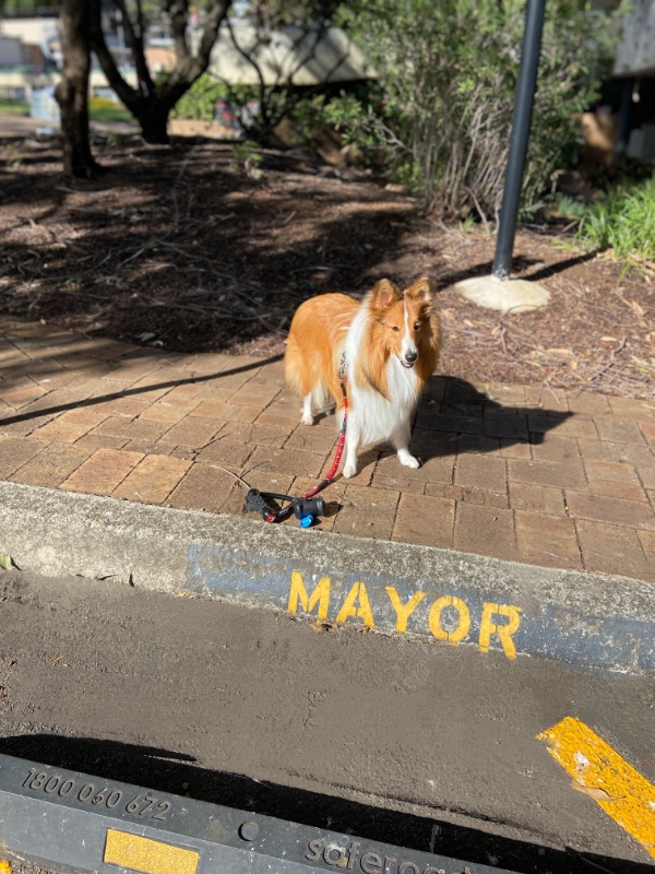 Carterwolfboy uploaded   270  day/s  ago