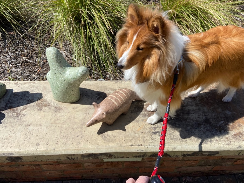 Carterwolfboy uploaded   270  day/s  ago