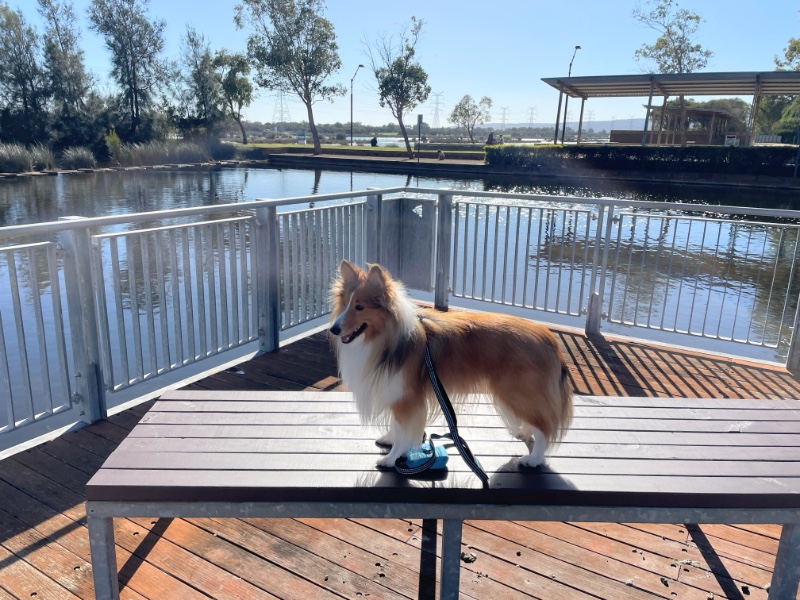 Carterwolfboy uploaded   270  day/s  ago